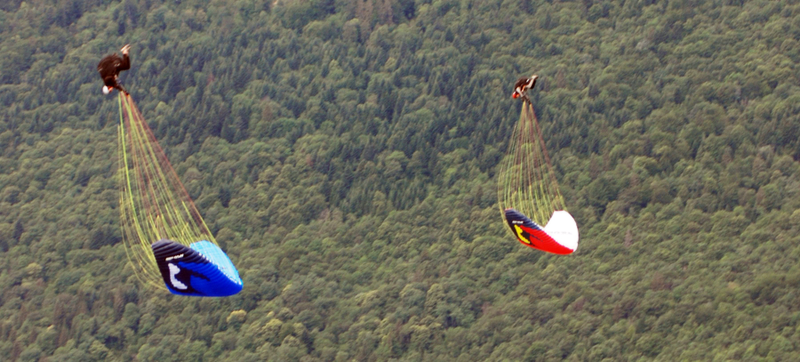 Illustration for article titled Tandem Paragliding Parachute Rips In Half During Stunt